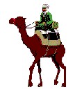 camel1.jpg